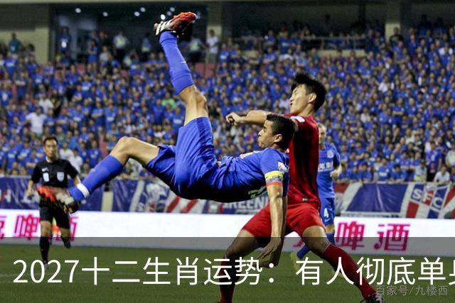2027十二生肖运势：有人彻底单身，有人乘风而起，有人要防住小人